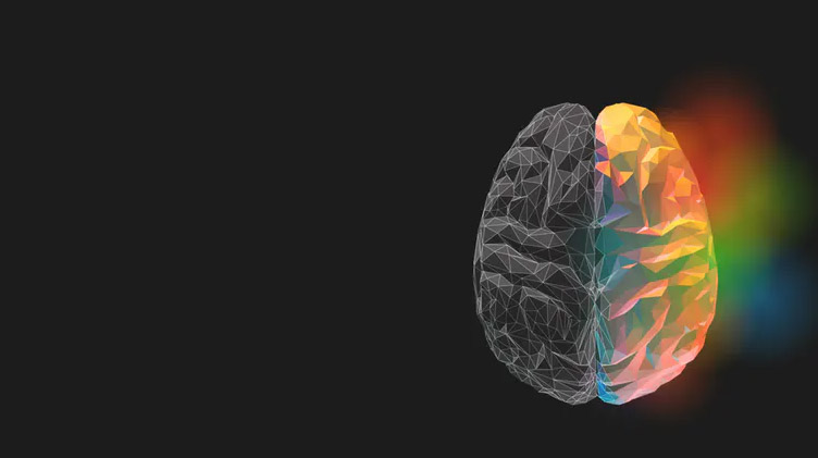 Shutterstock / Jolygon