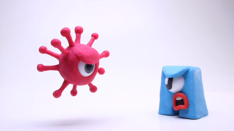 Captura video promocional Animalcoi // Foto: Web Animalcoi