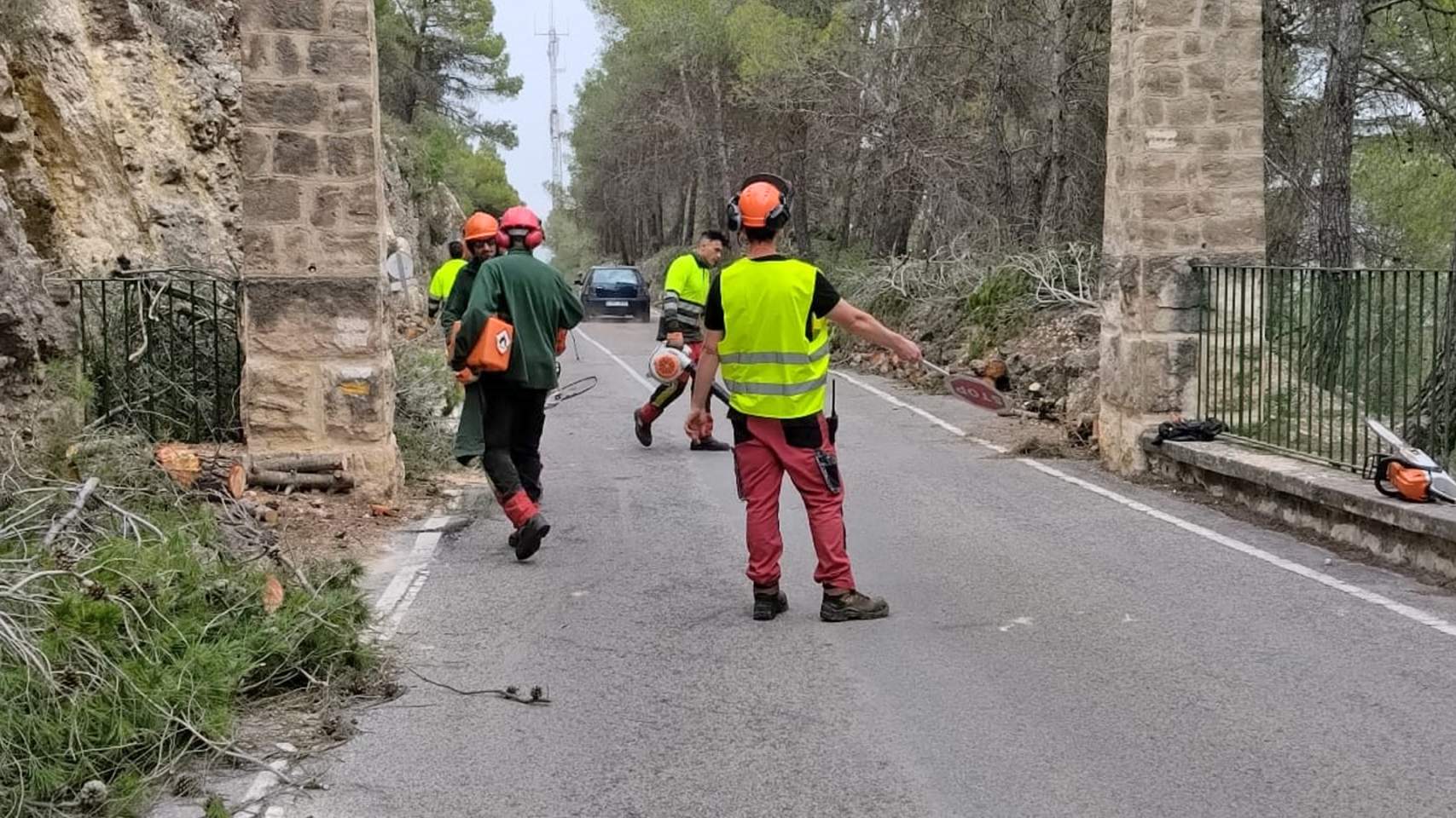 Trabajos en el Preventori