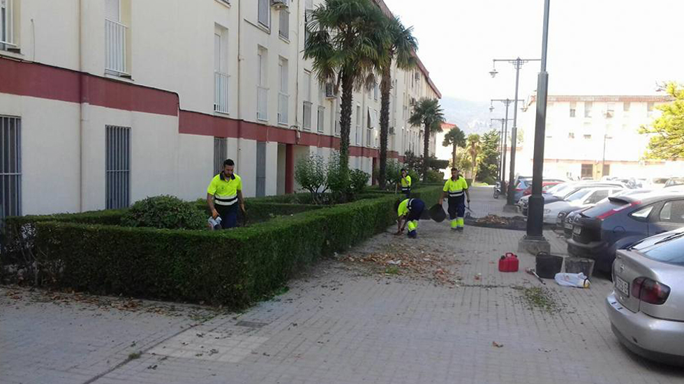 Oficiales de jardinería de Avalem Experiència