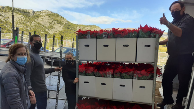 Flors en La Salle