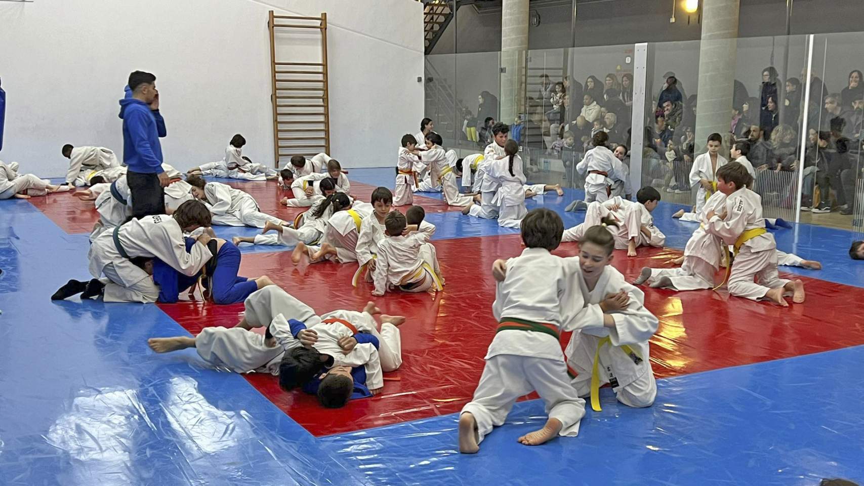 Jóvenes judokas en las instalaciones de judo en Alcoy / Foto: Facebook Judo Club Alcoi