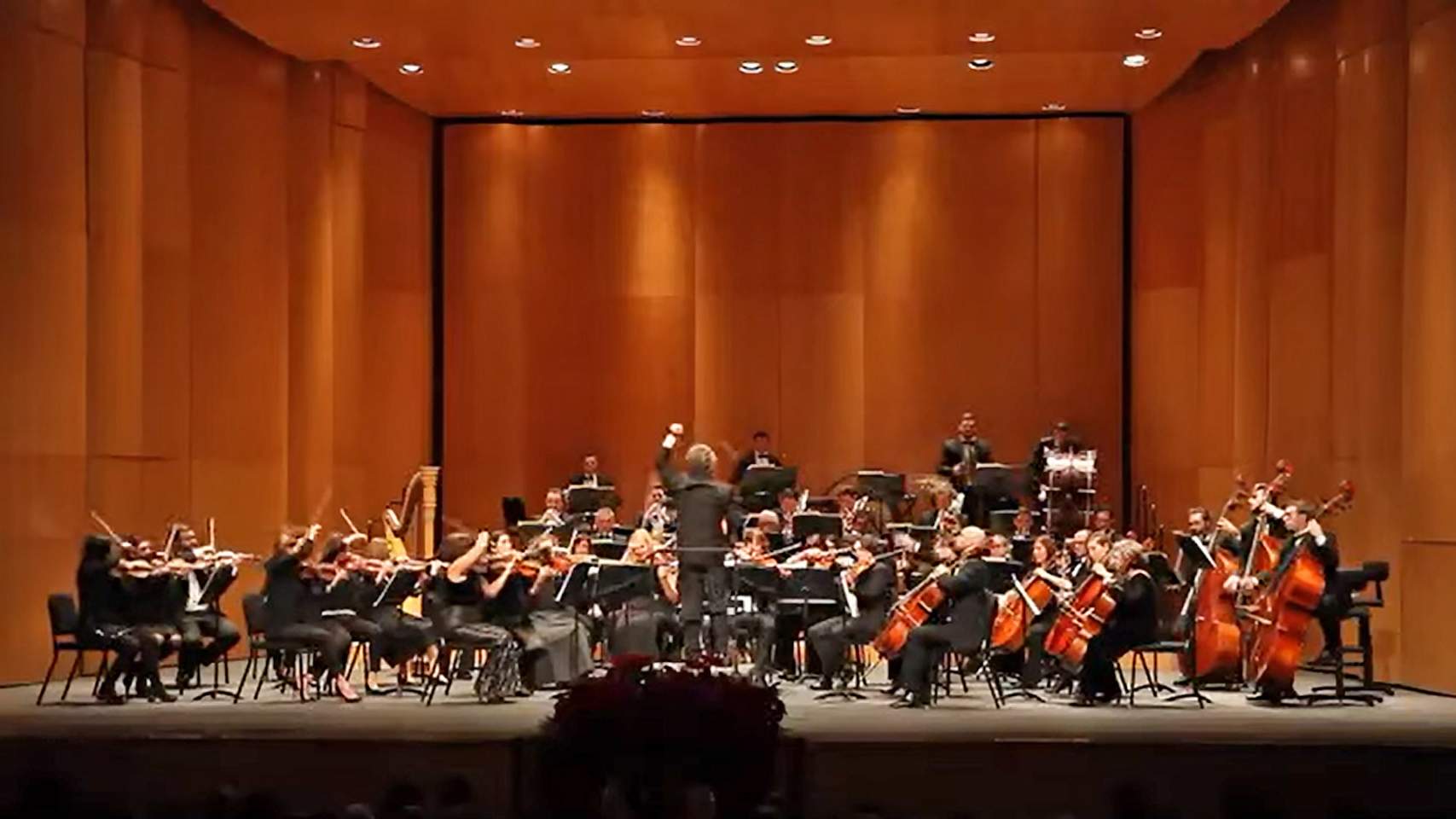 La European Strauss International Orchestra tornar&agrave; a Alcoi