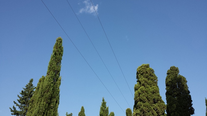 [Img #19140]
