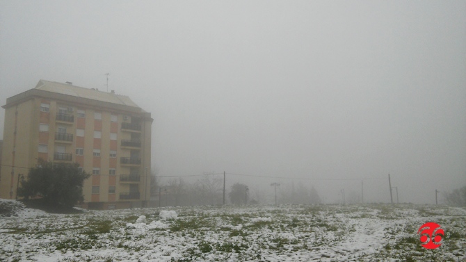 [Img #34311]